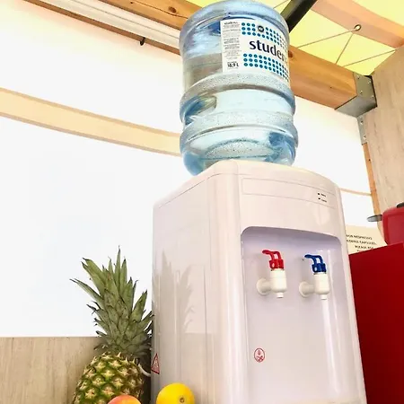 Glamping Tents - Camp Adriatic 프리모스턴