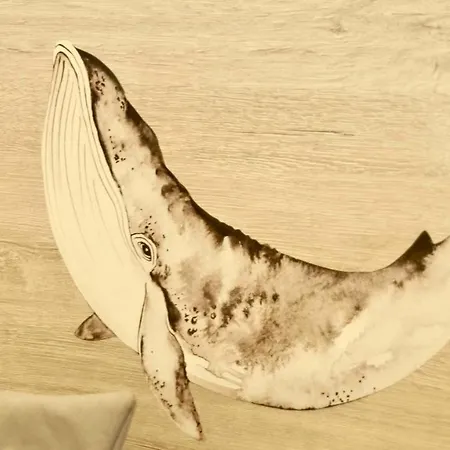 Glamping Tents - Camp Adriatic 2*