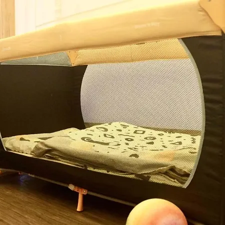 Glamping Tents - Camp Adriatic