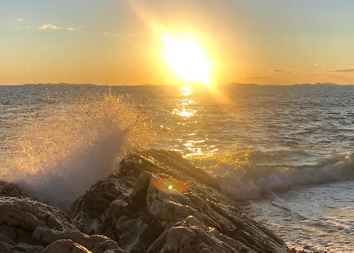 Glamping Tents - Camp Adriatic 2* 普利莫顿